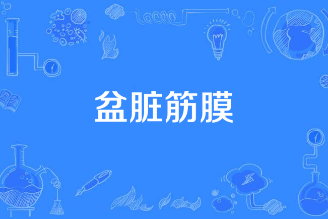 盆髒筋膜 盆髒筋膜