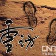 重訪 重訪