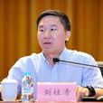 劉桂清(中國電信集團公司副總經理、黨組成員) 劉桂清(中國電信集團公司副總經理、黨組成員)