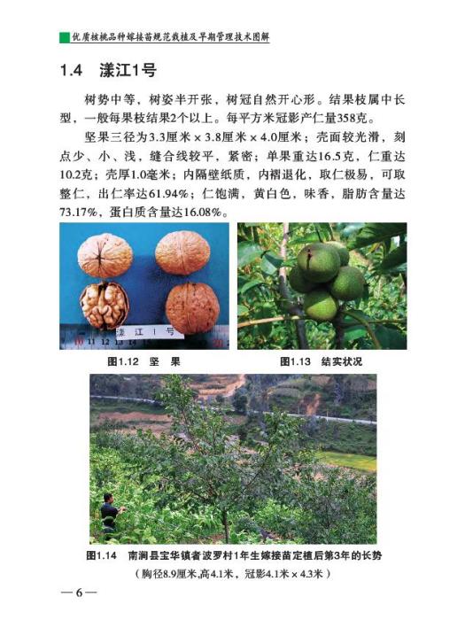 漾江1號 漾江1號