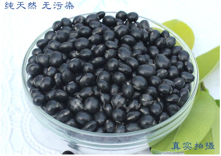 黑皮青豆 黑皮青豆