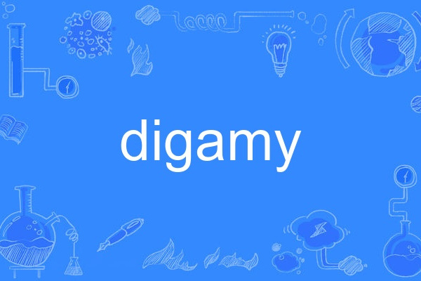 digamy digamy
