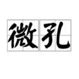 微孔 微孔