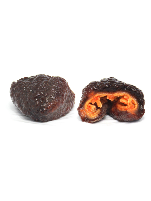 紅筋參 紅筋參