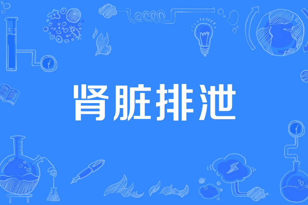 腎臟排泄 腎臟排泄