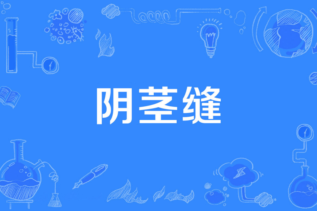 陰莖縫 陰莖縫