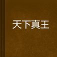 天下真王