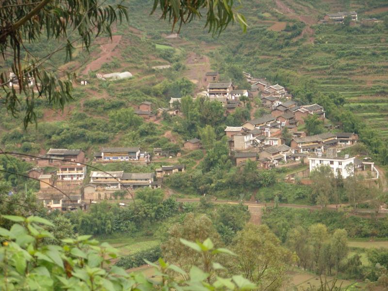 楊柳坡村 楊柳坡村