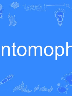 entomophily entomophily