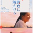 茜色如燒 茜色如燒