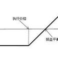 看漲期權