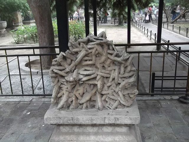 海參石 海參石