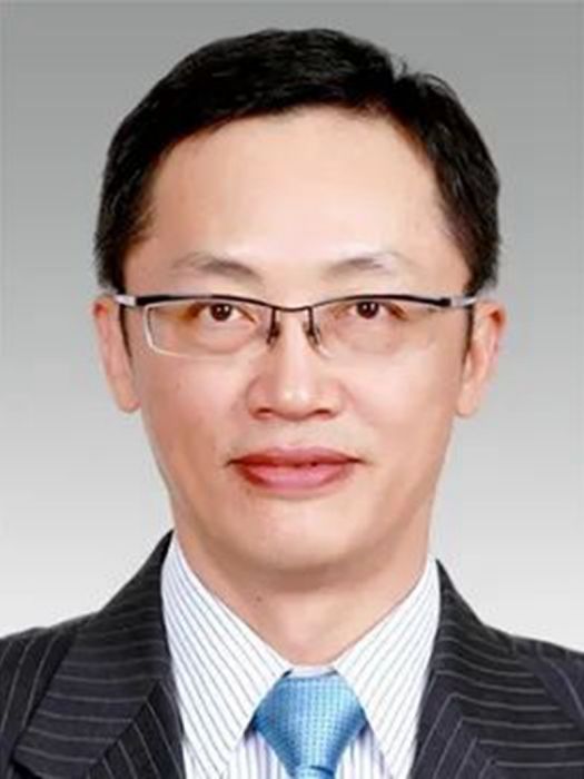 李棟(東浩蘭生集團黨委副書記、總裁) 李棟(東浩蘭生集團黨委副書記、總裁)