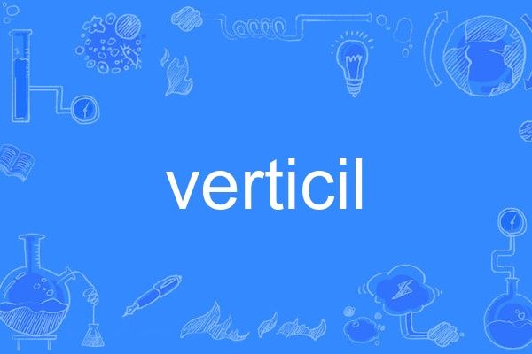 verticil verticil
