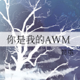 你是我的AWM 你是我的AWM