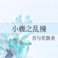 小鹿之亂撞