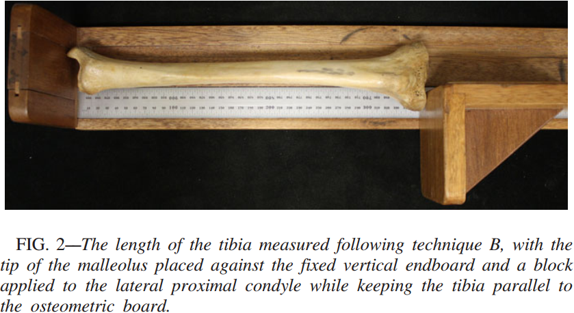 脛骨外側髁踝長的測量