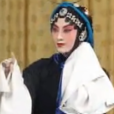 柳迎春 柳迎春