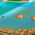 小魚回家 小魚回家