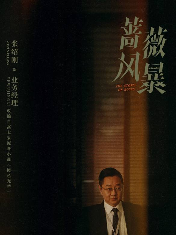 薔薇風暴(2024年惠楷棟執導的職場劇)