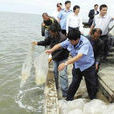 雙台子河口海蜇中華絨螯蟹國家級水產種質資源保護區