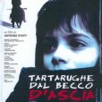 Tartarughe dal becco d\x27ascia Tartarughe dal becco d\x27ascia