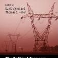 The Political Economy of Power Sector Reform