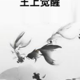 王上覺醒 王上覺醒