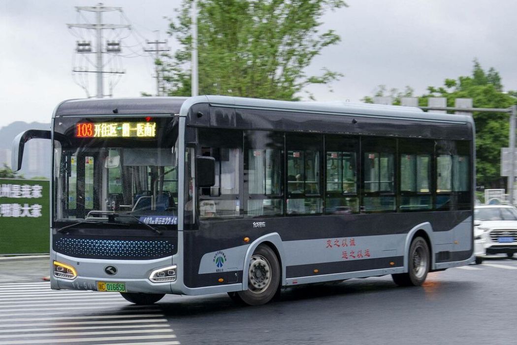 溫州公交103路 溫州公交103路