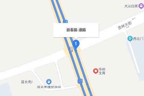 新秦路 新秦路