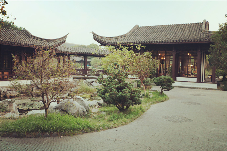 青木坪村 青木坪村