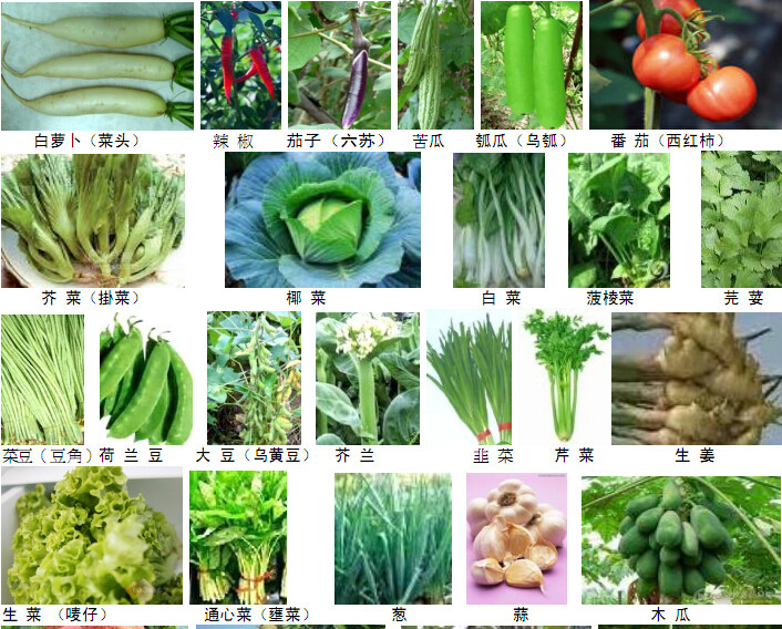 農作物蔬果