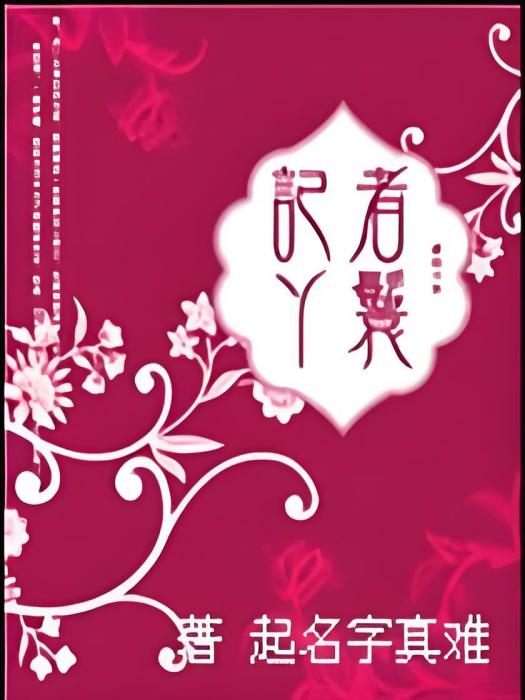 記者丫鬟 記者丫鬟