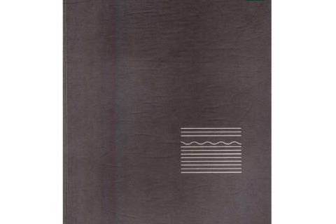 荒書(2018年北嶽文藝出版社出版的圖書) 荒書(2018年北嶽文藝出版社出版的圖書)
