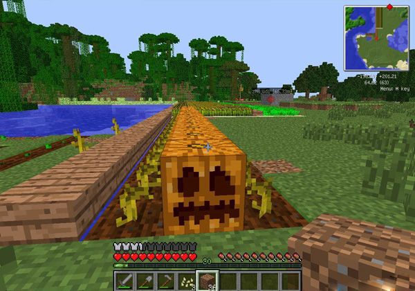 雕刻南瓜(Minecraft中的方塊) 雕刻南瓜(Minecraft中的方塊)