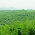 鼎峰坳 鼎峰坳