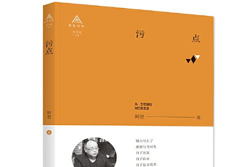 污點(2018年北嶽文藝出版社出版的圖書) 污點(2018年北嶽文藝出版社出版的圖書)