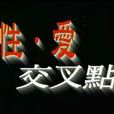 性愛交叉點(扎爾曼·金執導美國電影)