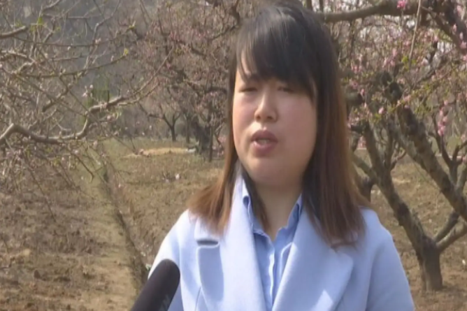 程慧(湖北省廣水市旗峰電子商務有限公司總經理) 程慧(湖北省廣水市旗峰電子商務有限公司總經理)