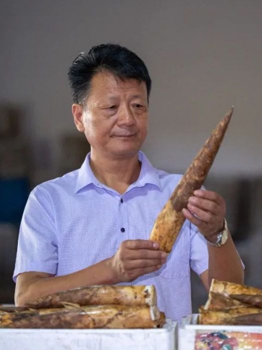 周水根(杭州綠鼎筍業專業合作社理事長) 周水根(杭州綠鼎筍業專業合作社理事長)