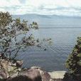 馬拉威湖國家公園