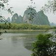 明月湖景區 明月湖景區