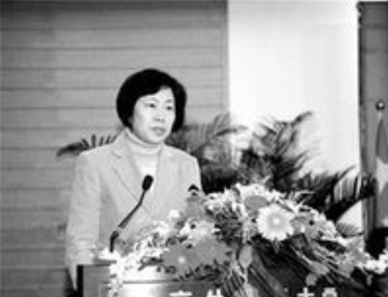 范慧娟(中華人民共和國外交部第二位女發言人)