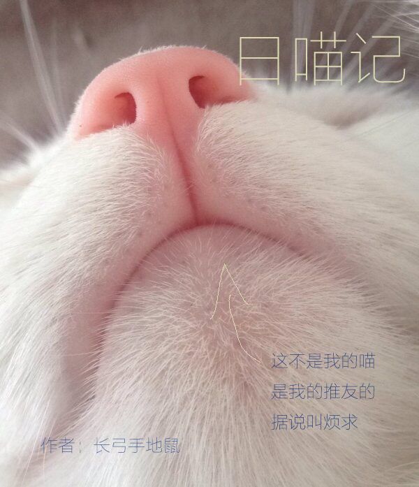 日喵記 日喵記