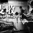 麥收(電影《麥收》) 麥收(電影《麥收》)