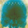Roentgen English Roentgen English