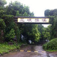 三峽猴溪 三峽猴溪