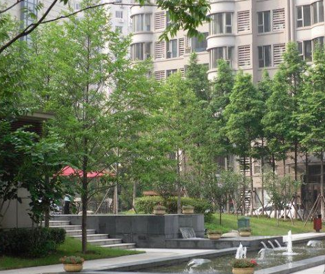同濟西苑 同濟西苑
