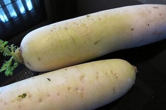 魯蘿蔔5號 魯蘿蔔5號