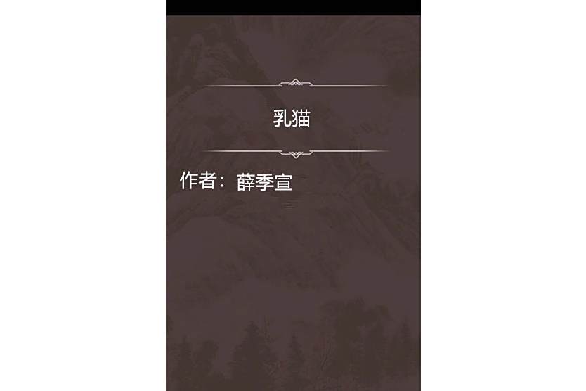乳貓 乳貓